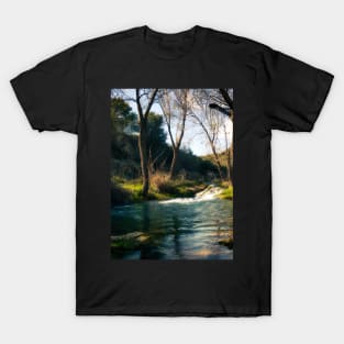 Forest River Waterfall T-Shirt